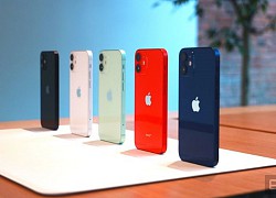 Trên tay ảnh nóng iPhone 12 mini và 12 Pro Max