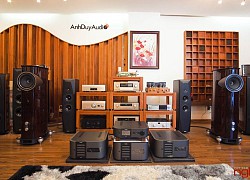 Fyne Audio F1-10 Loa đồng trục Ăng-lê thượng hạng, được chế tác bởi nghệ nhân Tannoy