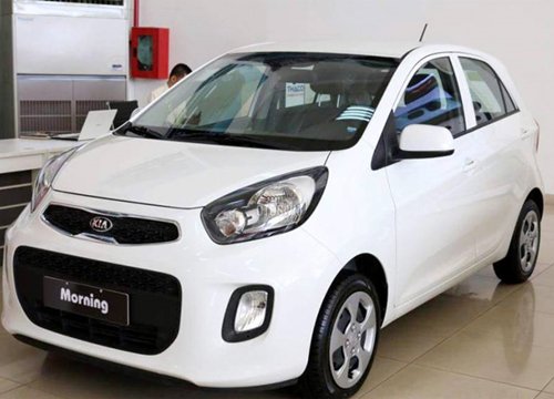 Giá xe ô tô hôm nay 7/11: Kia Morning thấp nhất ở mức 299 triệu đồng