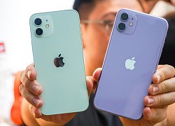 iPhone 12 vs iPhone 11: Sự khác biệt có đáng để bạn nâng cấp?