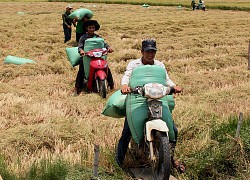 Lâm Đồng: Hàng trăm hộ đăng ký thoát nghèo nhờ chính sách hỗ trợ đúng, trúng