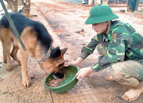 "Lực lượng đặc biệt" của BĐBP trong tìm kiếm, cứu nạn