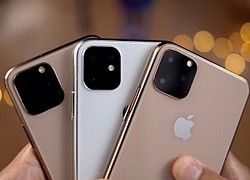 Ming-Chi Kuo: iPhone 13 sẽ có 4 kích thước tương tự iPhone 12, camera góc rộng được nâng cấp