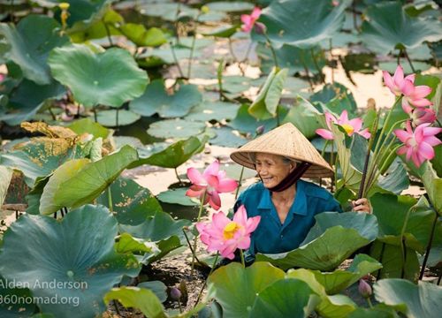 Một Hội An mùa lũ thật khác qua ống kính nhiếp ảnh gia người Mỹ