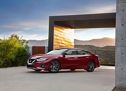 Nissan Maxima 2021 tới 1 tỷ đồng, "đấu" Toyota Avalon thế hệ mới