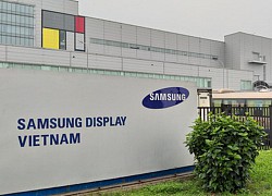 Samsung Display Việt Nam bất ngờ báo lỗ kỷ lục