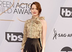 Trang phục thảm đỏ ấn tượng của Emma Stone