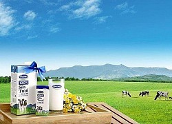 Vinamilk thận trọng về triển vọng quý 4/2020 do Covid-19 và lũ lụt