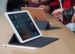 Apple sẽ ngừng sản xuất iPad mini khi tung ra iPhone gập đầu tiên