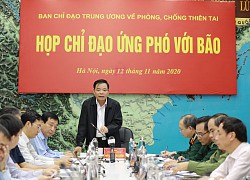 Bão số 13 Vàm Cỏ hướng đi dị thường như bão Hải Yến năm 2013