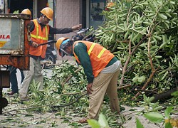 Đà Nẵng, Quảng Nam phát công điện khẩn ứng phó bão Vamco