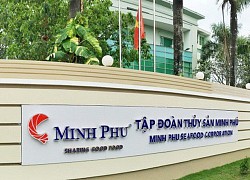 Doanh thu "ông lớn" ngành tôm Minh Phú giảm quý thứ 4 liên tiếp