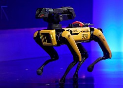 Hyundai muốn thâu tóm Boston Dynamics với giá 1 tỉ USD