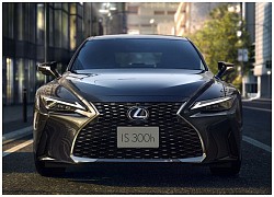 Lexus IS 2021 tại thị trường Nhật Bản