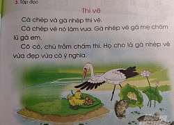 'Lỗ hổng' trong thẩm định và thực nghiệm sách giáo khoa