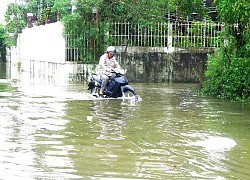 Quảng Ngãi: Nhiều nơi bị ngập sâu, giao thông chia cắt