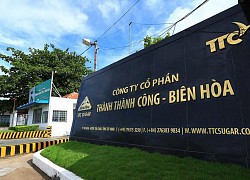 SBT dự kiến phát hành hơn 30,4 triệu cổ phiếu ESOP