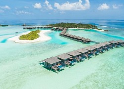 Thanh toán một lần, nghỉ dưỡng cả năm ở Maldives