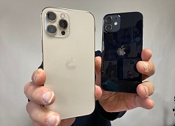 The Verge: 'Camera trên iPhone 12 Pro Max tốt nhất thị trường'