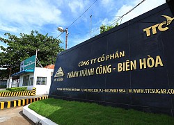 TTC Sugar trở thành cổ đông lớn của Điện Gia Lai