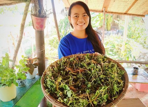 Bị bạo bệnh, cô gái Phú Yên bỏ Sài Gòn về quê làm nông và dạy tiếng Anh miễn phí cho trẻ em