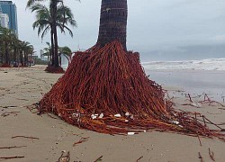 Ảnh: Bão Vamco càn quét, bờ biển, kè sông ở Đà Nẵng tan hoang