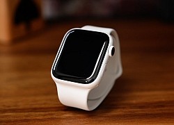 Apple Watch có bộ sưu tập dây đeo mới cho mùa đông