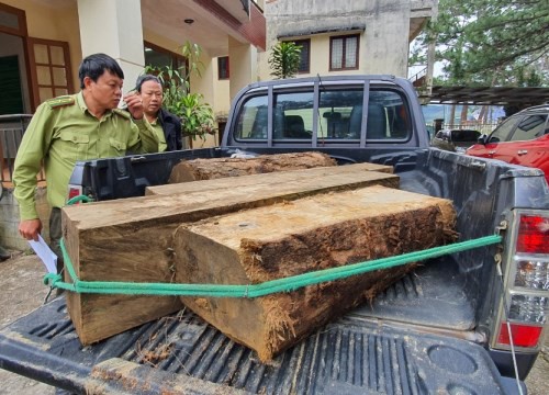 Bắt gỗ lậu ở Cổng Trời