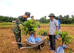 Có ngày hội mang tên "Luật Biên phòng Việt Nam"