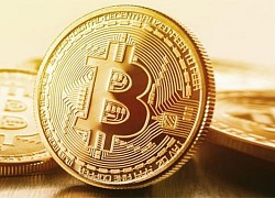 Giá Bitcoin hôm nay 13/11: Bitcoin cao nhất gần 3 năm, phá vỡ ngưỡng 16.000 USD