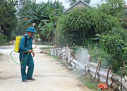 Hà Tĩnh chủ động khoanh vùng dịch tả lợn châu Phi trong phạm vi hẹp