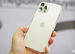 iPhone 12 Pro Max đầu tiên về Việt Nam, giá 53 triệu đồng