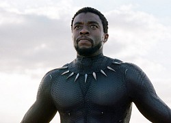 Marvel bác tin dùng kỹ xảo "hồi sinh" Chadwick Boseman, dân tình nhiệt tình hiến kế quay Black Panther 2