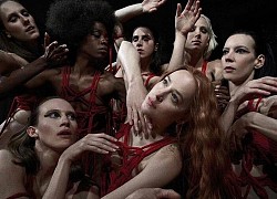 Phim kinh dị 'Suspiria' khó có hậu truyện do thua lỗ nặng nề