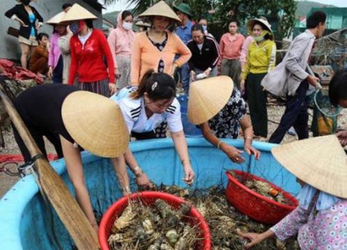 Sống chung với thiên tai