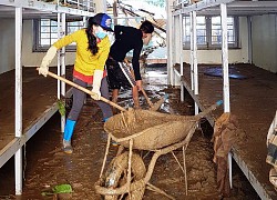 Thầy cô Trà Leng cạo núi bùn, dọn trường sau mưa lũ