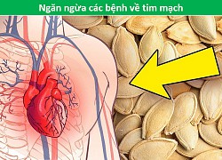 Ăn nhiều bí đỏ giúp phòng ngừa hiệu quả ung thư và bệnh tim mạch