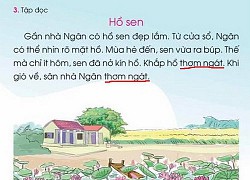 Bản hiệu đính Tiếng Việt 1 Cánh diều chưa đến tay, thầy trò đã học hết một nửa