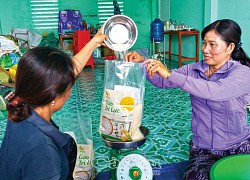 Cà Mau: Nông dân rủ nhau trồng thứ lúa hữu cơ và nuôi tôm càng xanh, gạo lắm người mua, tôm còn bán đắt hơn