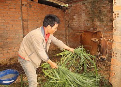 Đắk Lắk: Vận động được hàng chục tỷ đồng hỗ trợ hộ nghèo