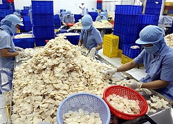 Đấu giá 49,89% vốn tại Sa Giang: SCIC kiên trì bán trọn lô cổ phần