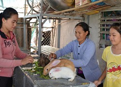 Đổi mới phương thức chăm lo người nghèo