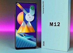 Galaxy M12 giá rẻ lộ diện với thiết kế giống Galaxy A42