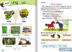 Giáo viên phải nhặt sạn và tìm ngữ liệu thay thế, thay sách giáo khoa mới làm gì