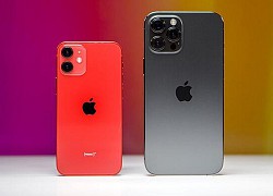 Khả năng chụp ảnh của iPhone 12 Pro Max: "Ăn đứt" máy ảnh cơ