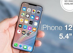 Lý do iPhone 12 mini có pin yếu