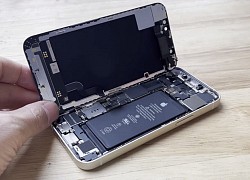 Mổ bụng iPhone 12 mini: Xem cách Apple nhồi nhét mọi thứ vào trong một chiếc iPhone kích thước rất nhỏ