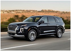 Người dùng 'tố' nội thất Hyundai Palisade 'bốc mùi', nhà sản xuất làm rõ nguyên nhân