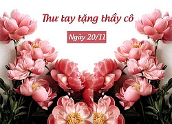 Những bài hát ý nghĩa nhân Ngày Nhà giáo Việt Nam 20/11