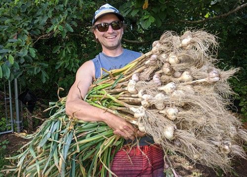 Những loại rau củ siêu to khổng lồ trong vườn nhà: Nhìn mà hoảng hồn kinh ngạc